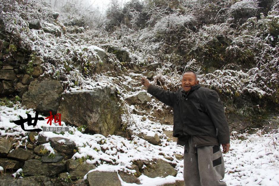 Reclusive old men in Qinling Mountains