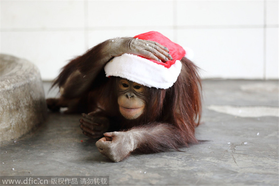 Christmas mood in the air across China