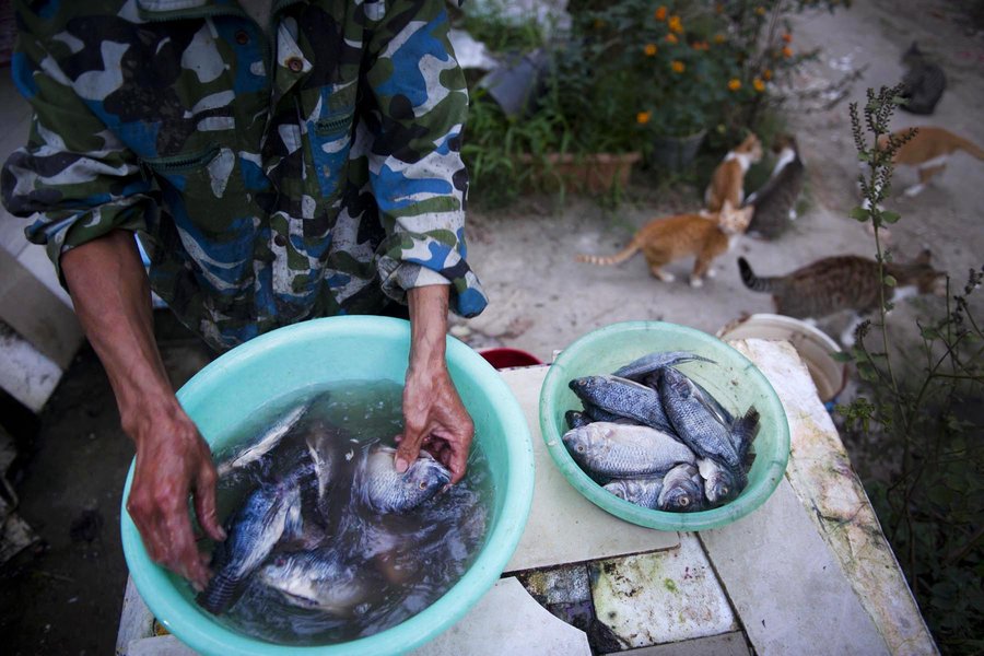 A migrant worker and his little friends