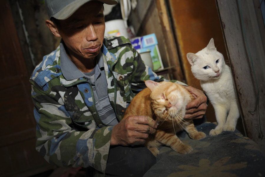 A migrant worker and his little friends