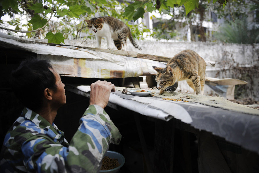 A migrant worker and his little friends