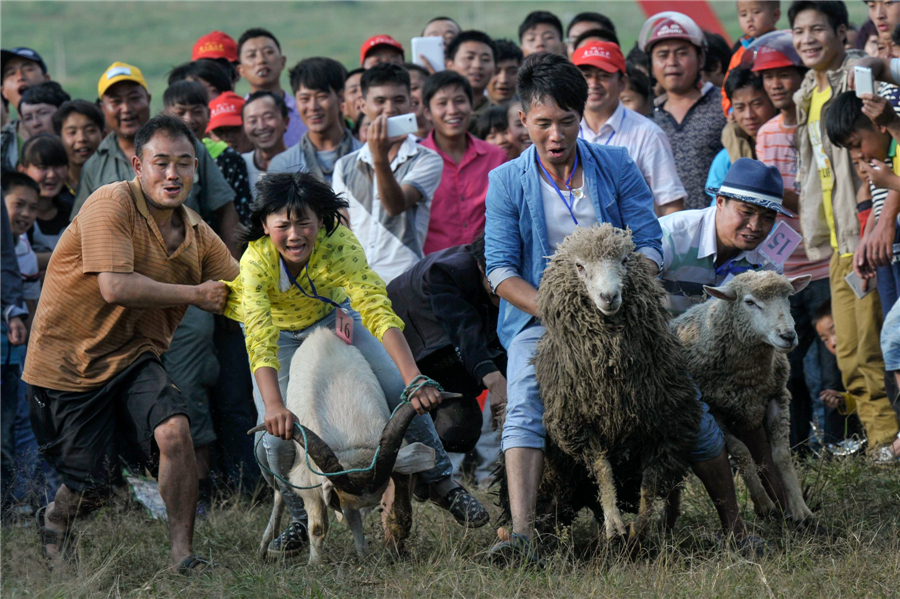 China Daily Pictures of Year 2014