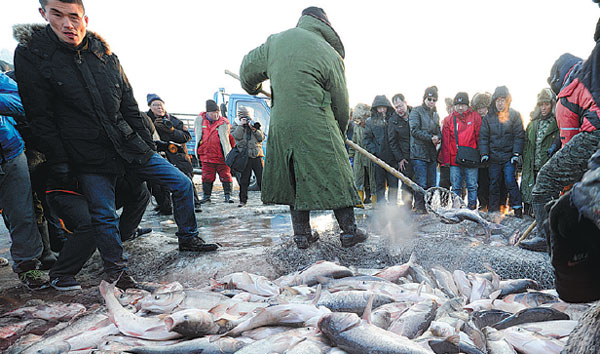 1,000 years on, the art of fish hunting is in safe hands