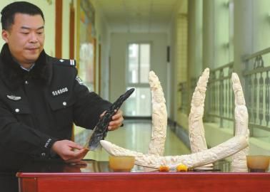 Ex-actress caught selling rhinoceros horns on WeChat