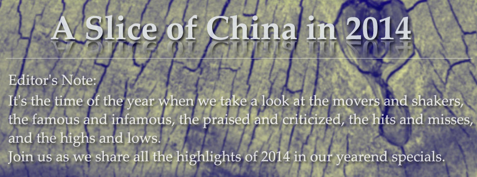 A slice of China in 2014