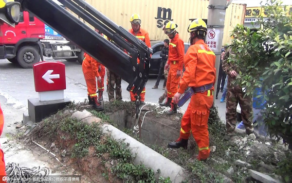 Pregnant cow winched from well by crane