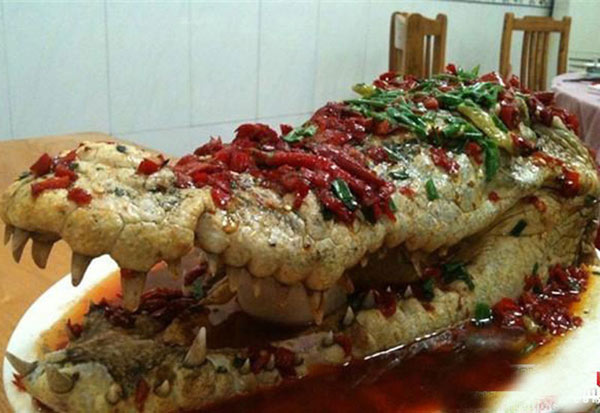 Crocodile served as food at wedding banquet