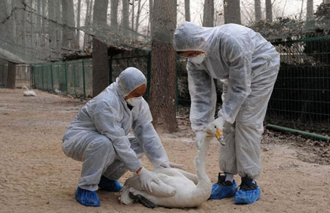 Web firms' video and subtitle sites closed in IPR