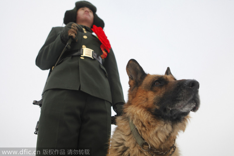 PLA widens range of duties for dog teams