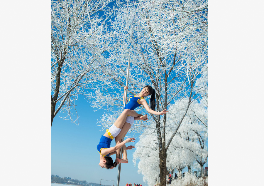 Pole dance under rime trees