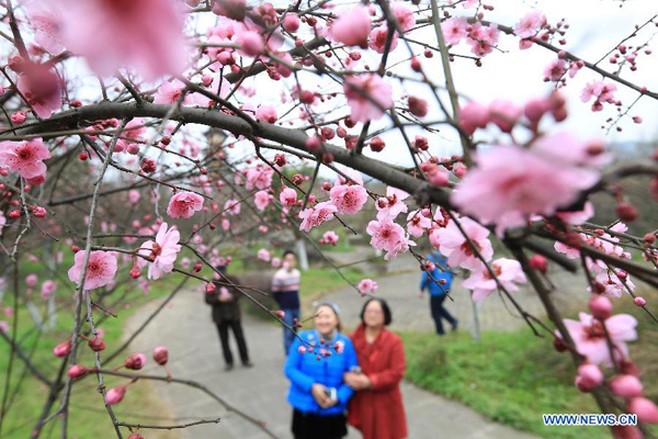 Flowers To China - Flower