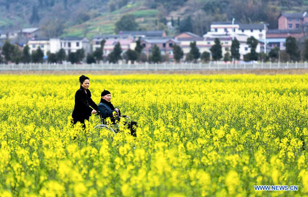 Beautiful sceneries of early spring flowers around China