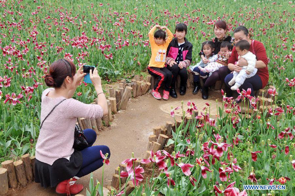 Beautiful sceneries of early spring flowers around China