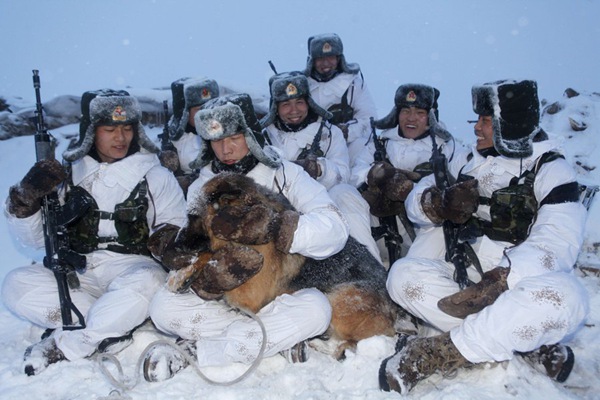 Man's best friend: border soldiers and a military dog