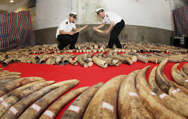 China pledges zero-tolerance stance on illegal ivory