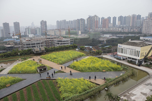 10,000-sq-m farm built on rooftop[2]- Chinadail