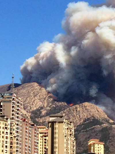 Five climbers die in Northeast China forest fire