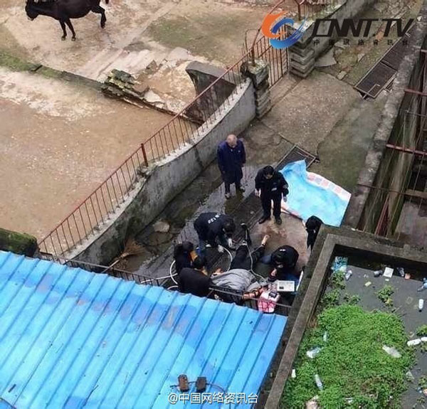 Tiger kills zoo employee in E China