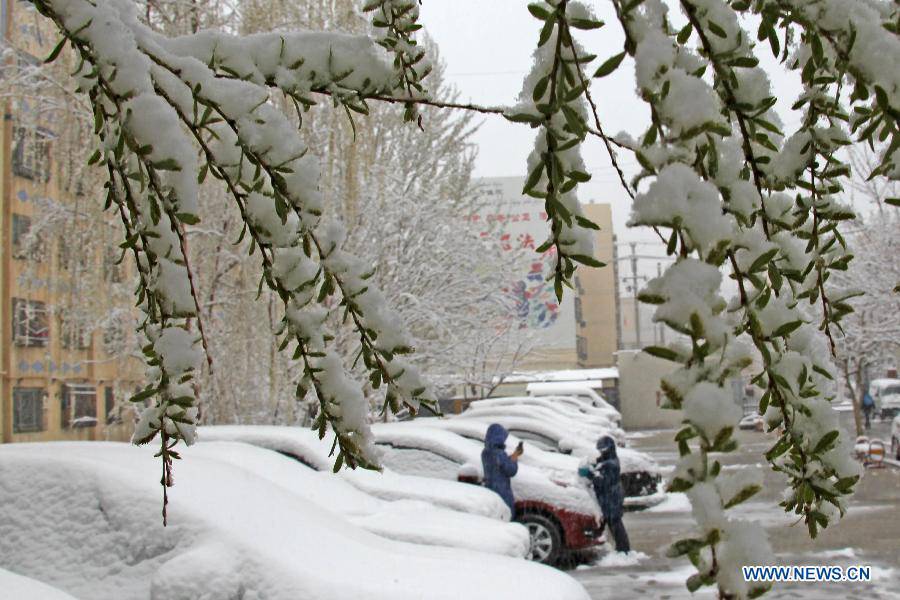 Snowfall hits Xinjiang