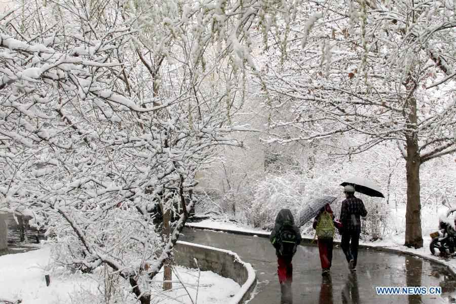 Snowfall hits Xinjiang