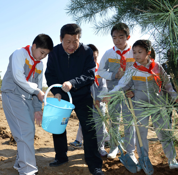 Xi plants roots of green awareness