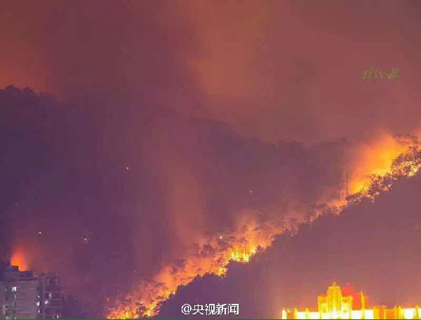 Forest fire rages in south China