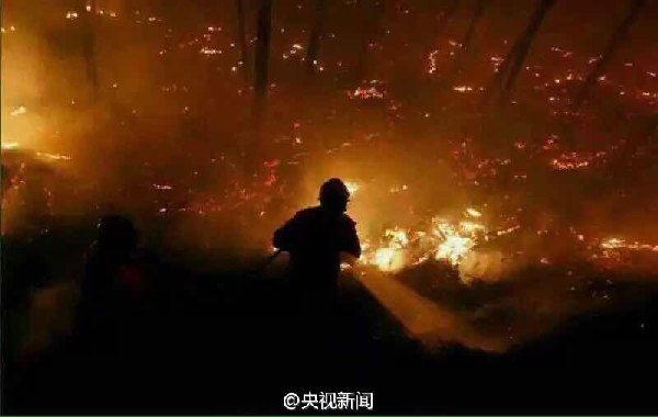 Forest fire rages in south China