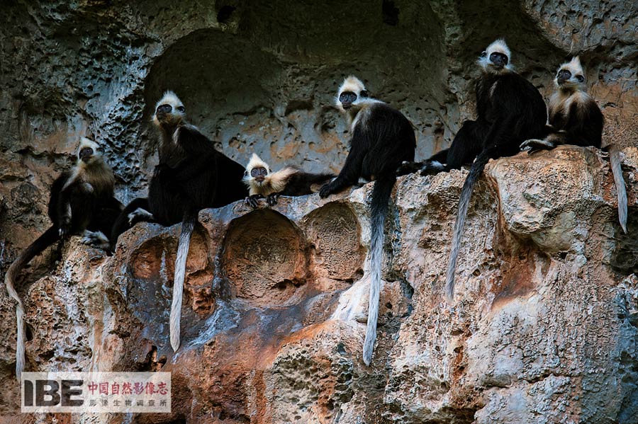 China's first nature image record released