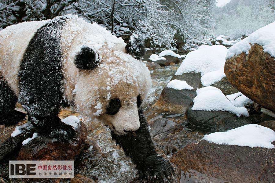 China's first nature image record released