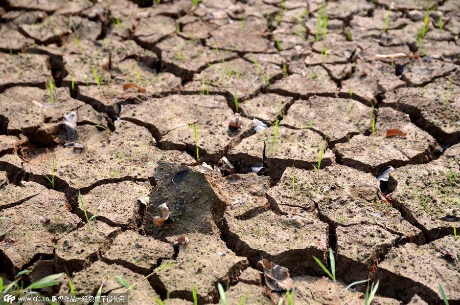 Severe drought hits Southwest China