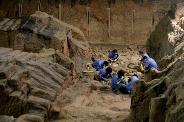 China starts new terracotta army dig