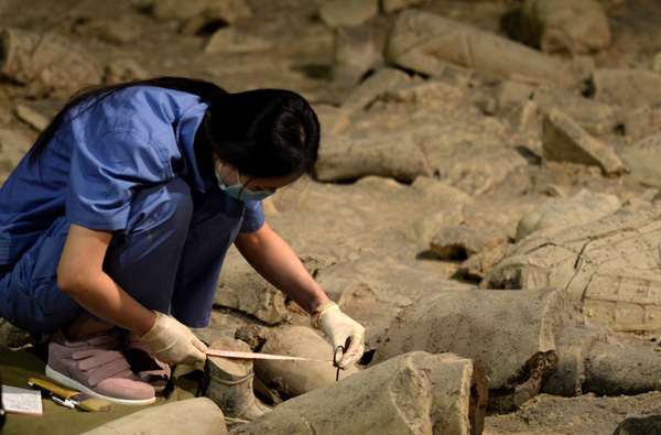 China starts new terracotta army dig