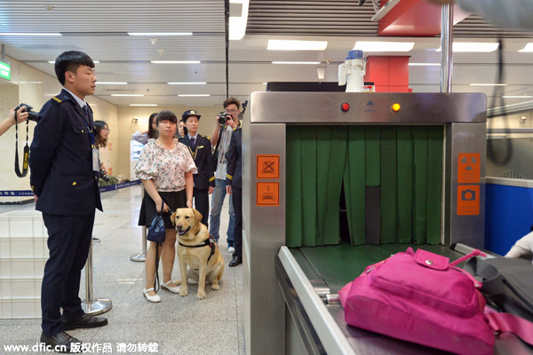 Beijing allows guide dogs on subway