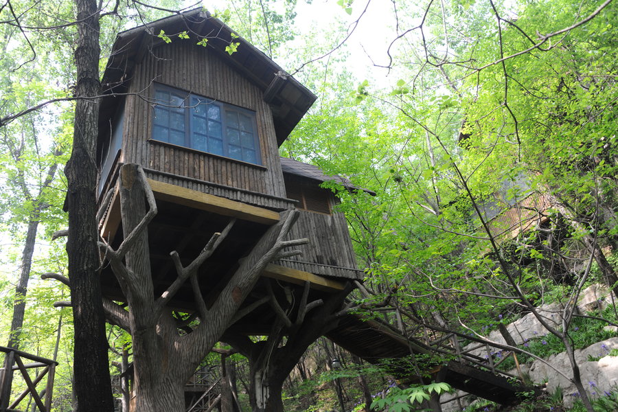 Tree house hotel in Jinan