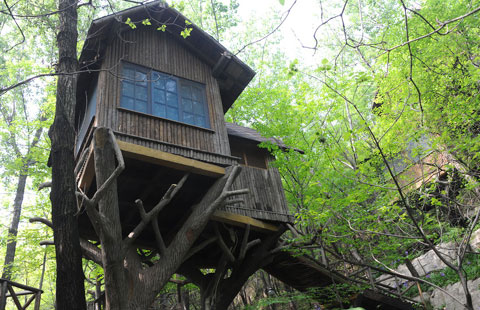 Tree house hotel in Jinan[2]- Chinadaily.com.cn