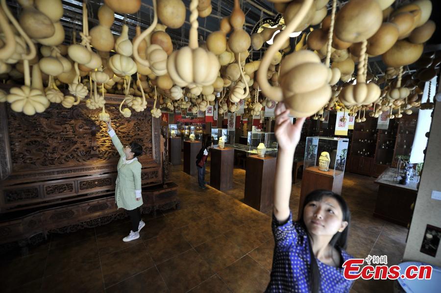 Calabash museum draws crowds in Tianjin