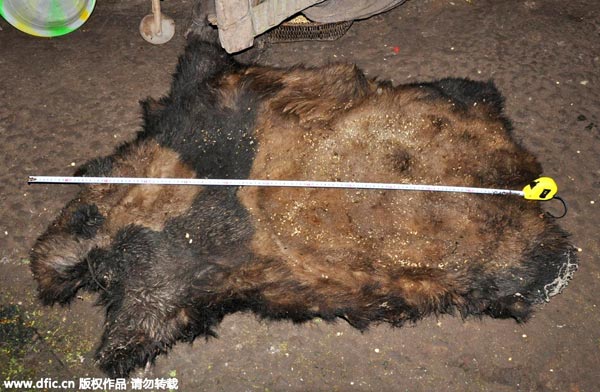 Ten panda poachers caught in Southwest China