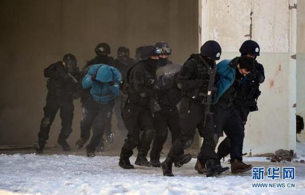 181 terror groups busted in Xinjiang