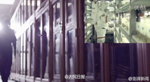 Controversial Fudan University promotional video taken offline