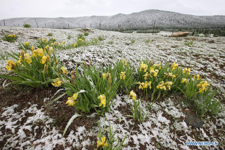 Snowfall hits Tianshan Mountain in Hami