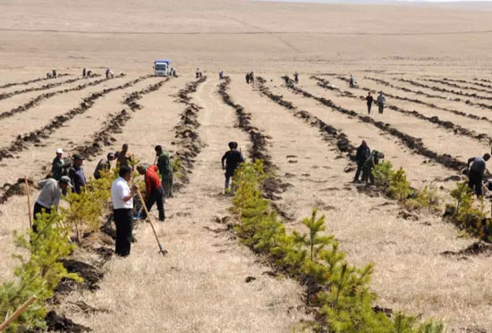 A glimpse of grassland protection in Inner Mongolia