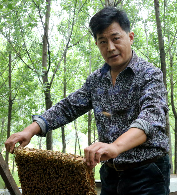 Beekeeper's life sweet as honey despite hardship