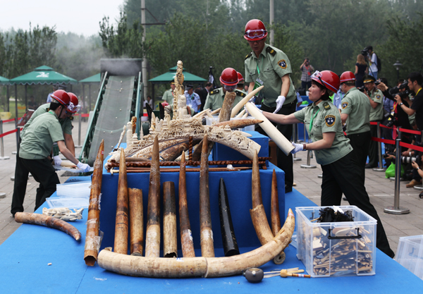 182 detained during big international campaign against wildlife smugglers
