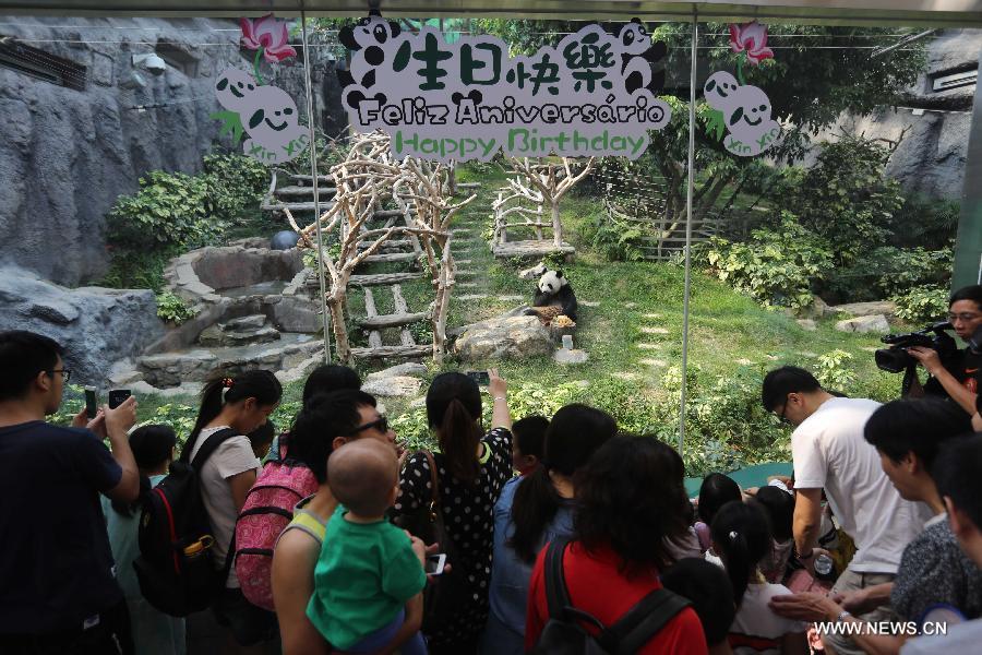 Panda Xinxin celebrates birthday at Macao's park