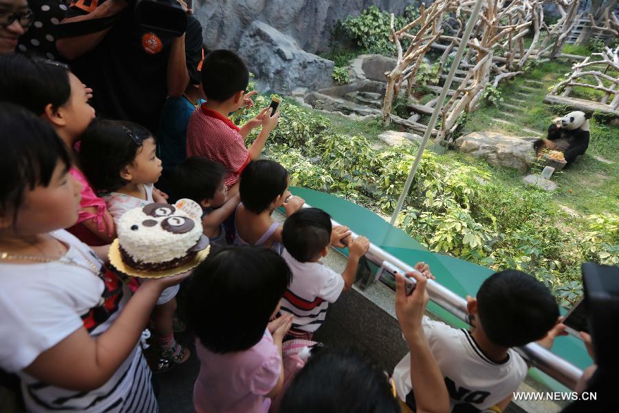 Panda Xinxin celebrates birthday at Macao's park