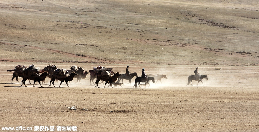 Kazak herdsmen migrate to winter pastures in Xinjiang