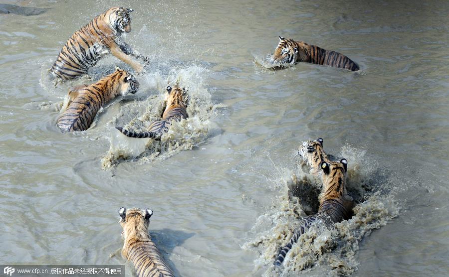 Heat wave sizzles across China