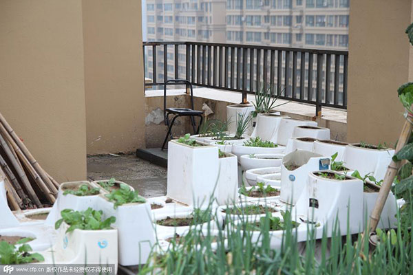 Mentally disabled uses toilets to grow vegetables on rooftop