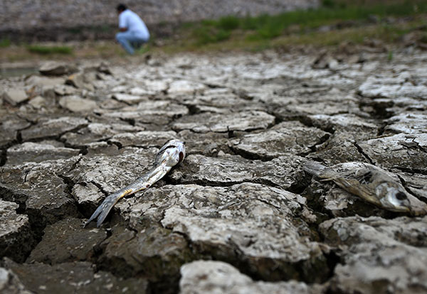 Deadly flooding hits Fujian province