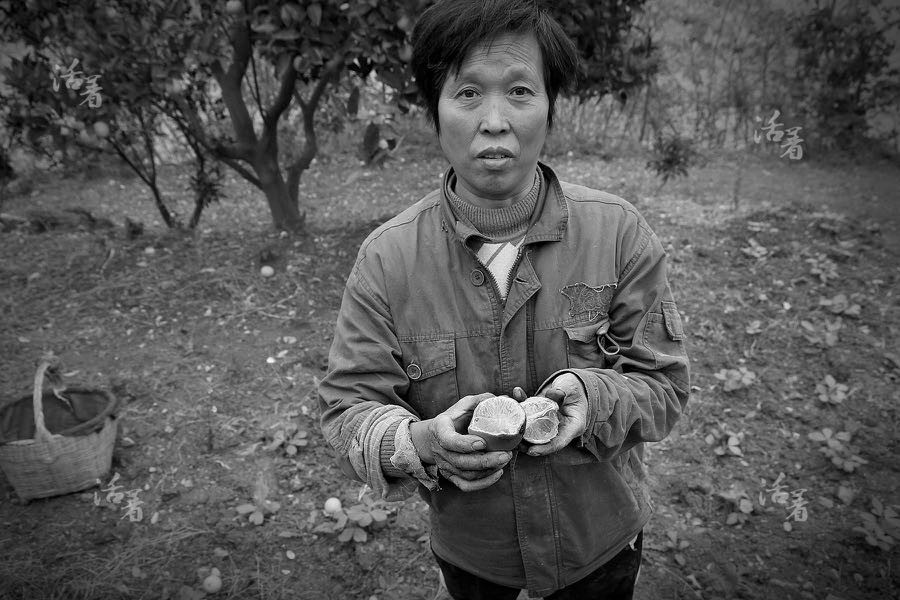 Making way for the Three Gorges Dam: a photographer captures its immigrants